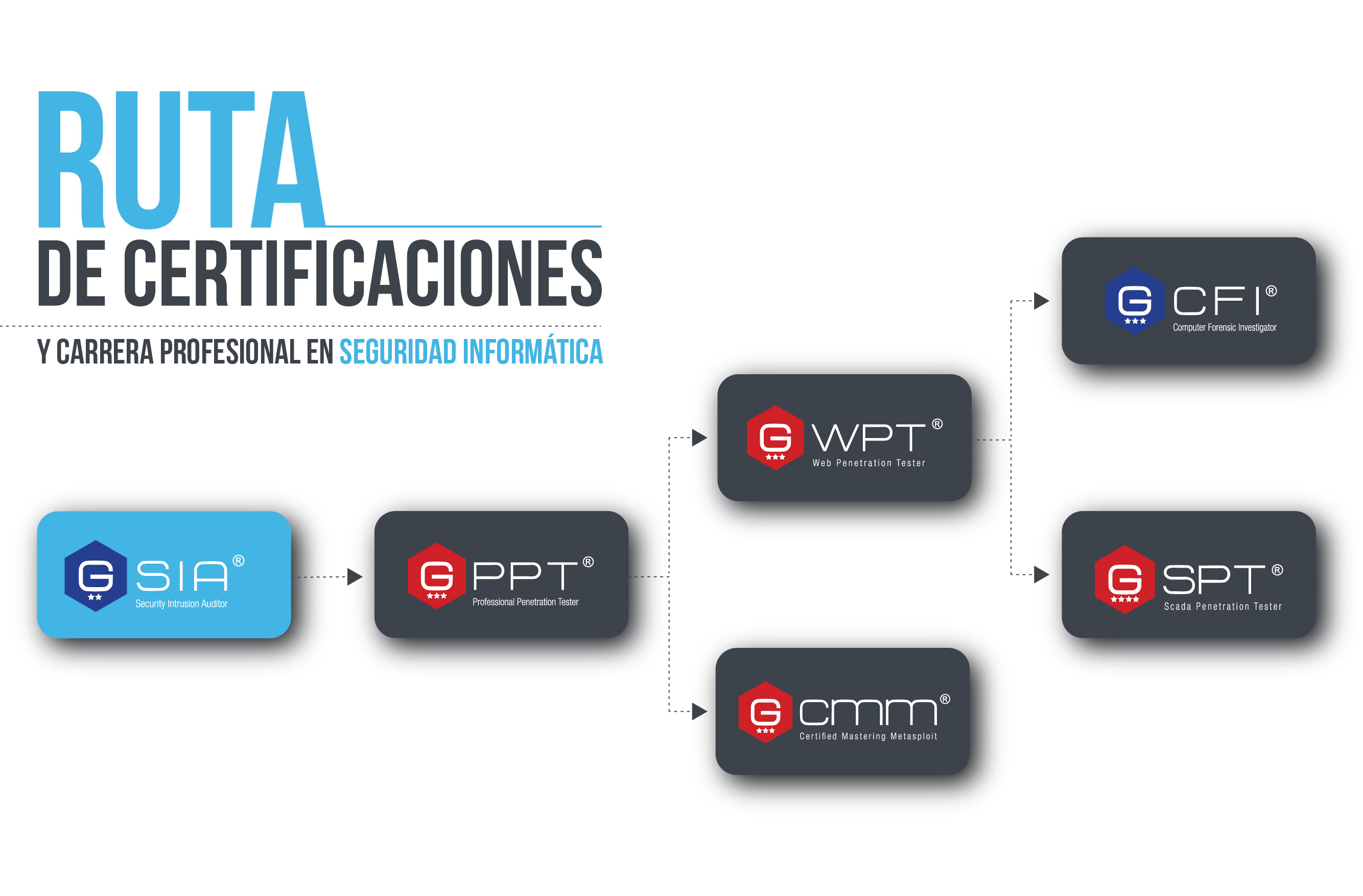 Ruta Profesional